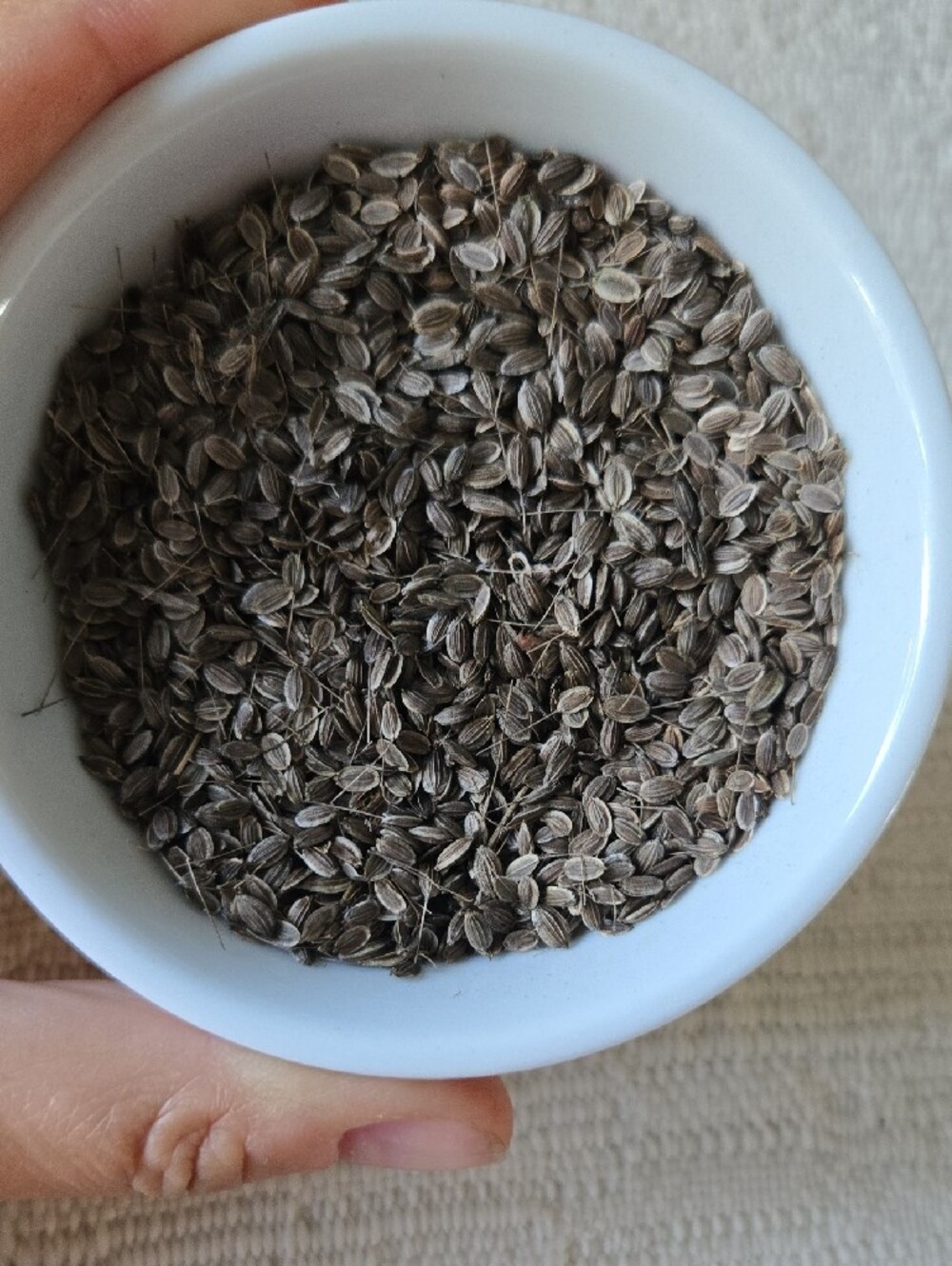 Dill Seeds - Picture 4 of 4